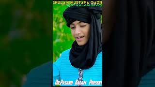 Ghulam Mustafa Qadri Best Kalam Status😍😍 - Sahaba Sahaba Hamare Sahaba NEW KALAM 2022 #shorts