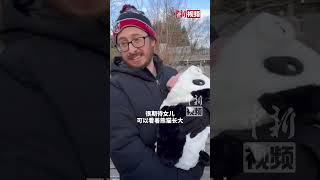 旅美大熊猫“宝力”“青宝”正式亮相 美国奶爸抱女儿来“追星”：熊猫将美中两国联系到一起