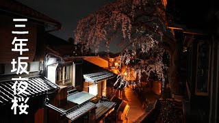 京都三年坂の夜桜 2021