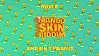 Ravi B | Ah Didn't Mean It | Mango Skin Riddim (Soca 2024)