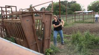 Dr. Amy Jordan - Large Animal Veterinarian