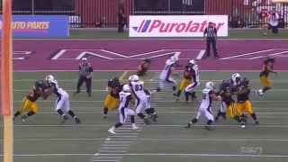 July 26, 2014 - Henry Burris 19 yard touchdown pass to Marcus Henry