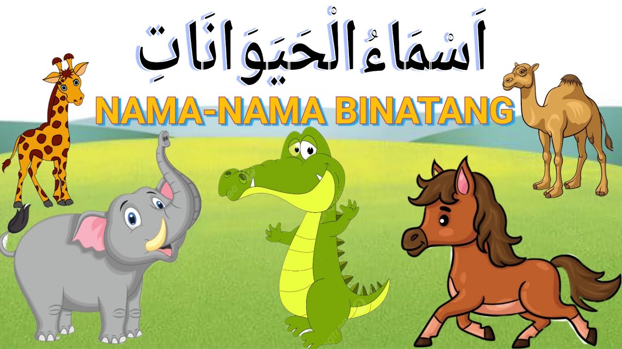 Nama-Nama Binatang Dalam Bahasa Arab - YouTube