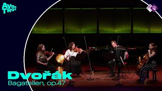 Dvořák: Bagatellen, op.47 - Groen, Lunansky, Siekman \u0026 Van Cauwenberghe - Live concert HD