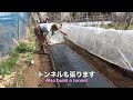 菜園だより240215トウモロコシ用畝準備