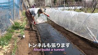 菜園だより240215トウモロコシ用畝準備