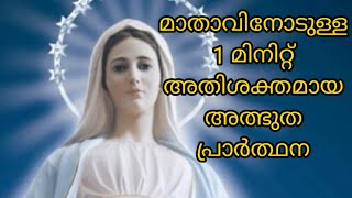 അപേക്ഷിച്ചാൽ ഉപേക്ഷിക്കാത്ത മാതാവിൻറെ 1 മിനിറ്റ് അതിശക്തമായ പ്രാർത്ഥന/miracle prayer/ marian prayer