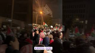 🇵🇸 Protestors in Montreal, Quebec 🇨🇦 #islam #muslim #palestine #FreePalestine #canada #israel