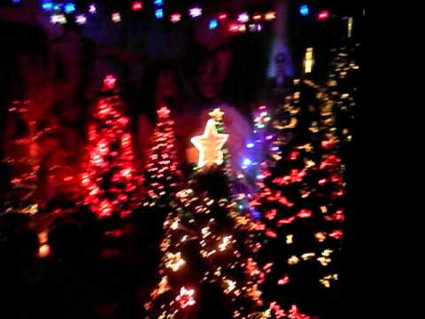 Xmas Fibre Optic Magic,Railton Tasmania Xmas Fibre Optic Magic,Railton Tasmania