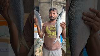 Amazing Big Hilsa Fish In Ghazipur Mandi Delhi #shortvideo #streetfood #rrrm