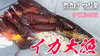 伊江島付近の激熱スポットでイカ釣り！