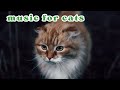 Soothing Anti-Anxiety Music for Cats & Dogs | Super Pet Hub