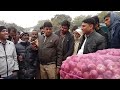 असलूप भाई प्याज कंपनी अलवर राजस्थान से प्याज की लाइव नीलामी आज onion rate today alwar mandi rajastha