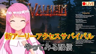 【Valheim】#4　早期アクセスのサバイバルゲームだよ。ソロは鬼畜って聞いたよ【HimenoCats】