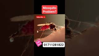 ডেঙ্গু মশা নিয়ন্ত্রণ করতে চাচ্ছেন? #PestControlbd #termitecontrol #cockroachcontrol #nearpest