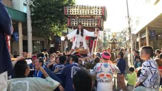 2015横浜藤棚へそ祭り_河岸睦⑥