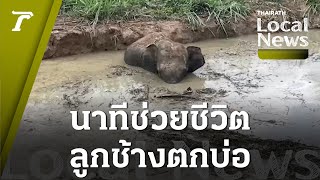 ลุ้นมาก! นาทีช่วยลูกช้างใกล้หมดแรง ลื่นตกบ่อจมโคลน | Top Story