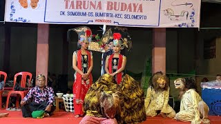 Garap Opening Kinayakan Terbaru!! Lanjut Wailul Gerongan Tinggi, TARUNA BUDAYA Samabumi