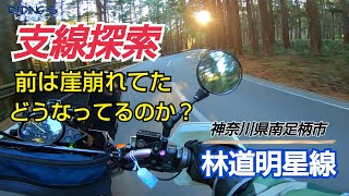 【SL230】明星林道支線を探検してみた　神奈川県南足柄市の林道【縞馬のOFF車日記】