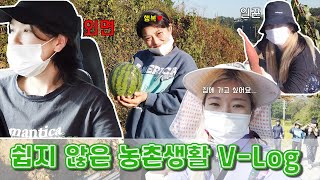 [v-log] Rocker들의 농촌 체험 (Farming Experience v-log) with Azzang's Family (Eng sub)