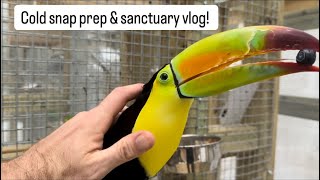 Cold snap prep \u0026 sanctuary vlog!