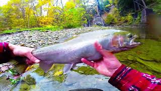 Steelhead Candy