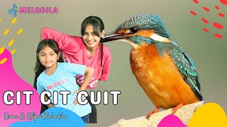 🔴 LAGU CIT CIT CUIT - Lagu Anak Anak | Lagu Anak Indonesia | Lagu Anak Balita Hana & Afika Melodila