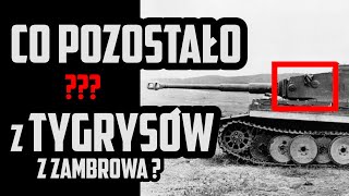 TANK HUNTER #79 Co pozostało z Tygrysów z Zambrowa? Echa potyczki z lata 1944 roku.