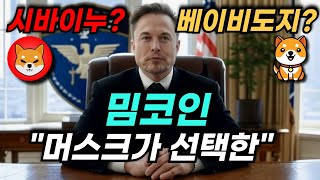 베이비도지코인 시바이누코인 악재인가? 머스크가 밈코인 직접 만든다 지금부터가 본격적인 시작