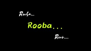 Rooba Rooba lyrics WhatsApp status|Orange|RamCharan|Lyrics Status|Love Lyrics