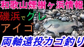 06-20　煙樹ヶ浜釣り情報・実釣編