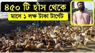 ৪৫০ টি হাঁস থেকে মাসে ১ লক্ষ টাকা টার্গেট | শুরুটা বড় হাঁস দিয়ে করাটাই ভাল | Duck Farming in Village