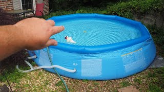 12 foot Intex easy setup above ground pool review