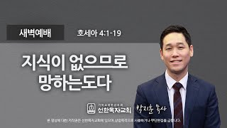 [선한목자교회] 새벽기도 2020년 08월 28일 | 지식이 없으므로 망하는도다 - 박지훈 목사 [호세아 4:1-19]