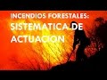 INCENDIOS FORESTALES: SISTEMÁTICA DE ACTUACIÓN