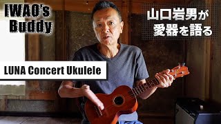 山形県尾花沢・徳良湖で発見した国産ヴィンテージウクレレ【LUNA Concert Ukulele】Iwao's Buddy Vol.16