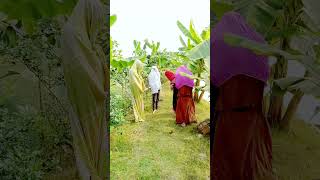 এদের কান্ড দেখেন #viralvideo #comedyvideos #funny #shorts