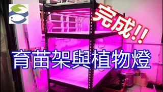 魚菜共生｜LED育苗架完成嚕｜達永魚菜共生農場｜Aquaponics