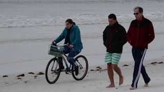 Chilly Weather in Sarasota