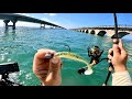 Florida Keys - Fishing The 7 Mile Bridge (First Time)