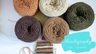 Lensandyarn knitting vlog - Shawlography - Clue 1 - Spoilers