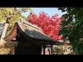 autumn foliage at daigoji temple and bishamondo kyoto in autumn