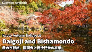 Autumn Foliage at Daigoji Temple and Bishamondo | Kyoto in Autumn