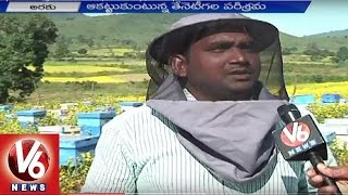 Honey Bee Farming attracts tourists | Araku Valley | Visakhapatnam - V6 News