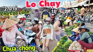 CĂNG QUÁ CHỢ CHẠY 270 TỶ tết 2026 Cao Lãnh cả 1000 người bán than ế