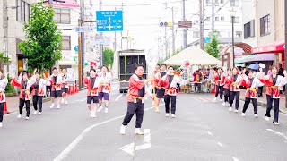 [4K] 香川銀行連　かんおんじ銭形まつり 2024 銭形よさこい(銭よさ) はれはれ会場