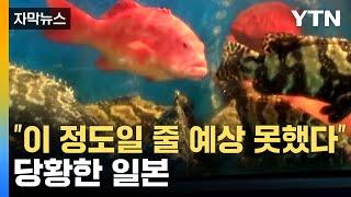 [자막뉴스] 일본 오염수 방류에 중국에서 나타난 현상...中 당국 \