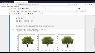 Motion Blur in Image