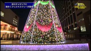 深川ギャザリア クリスマスイルミネーショ2013_H25.1122OA