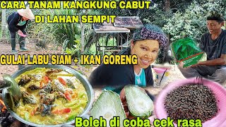 CARA TANAM KANGKUNG CABUT DI LAHAN SEMPIT||GULAI LABU SIAM +  IKAN GORENG LEZATNYA!?